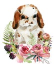 Cartoon rabbit collection. forest animal illustration. cute watercolor hare Royalty Free Stock Photo