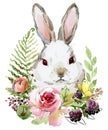 Cartoon rabbit collection. forest animal illustration. cute watercolor hare