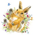 Cartoon rabbit. forest animal illustration. cute watercolor hare. Little rabbit in the garden Royalty Free Stock Photo