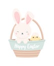 Cute bunny and chick sitting in Easter basket, isolated on white background. Vector illustration Royalty Free Stock Photo