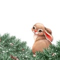 Cute bunny Christmas illustration with fir branches. Royalty Free Stock Photo
