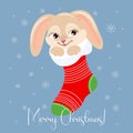 Cute bunny in a Christmas sock on a background of snowflakes. Christmas card, poster vector Royalty Free Stock Photo