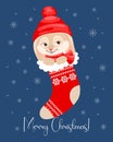 Cute bunny in a Christmas sock on a background of snowflakes. Christmas card, poster vector Royalty Free Stock Photo