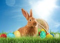 Cute bunny and colorful Easter eggs on green grass outdoors Royalty Free Stock Photo