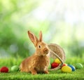 Cute bunny and colorful Easter eggs on green grass outdoors Royalty Free Stock Photo