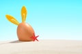 Cute bunny decorated Easter egg sunny sandy beach Royalty Free Stock Photo