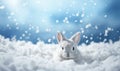 Cute bunny ears in the fresh white snow with blue sky. Winter theme rabbit, Easter or Christmas bunny concept in Royalty Free Stock Photo