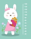 Cute bunny with a gift on a background of flowers. Stadiometer.