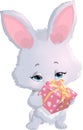 Cute bunny holding a box with gifts