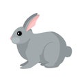 Cute bunny isolated on white background in flat style. Funny cartoon character rabbit gray color Royalty Free Stock Photo