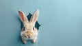 Cute Bunny Peeking Through a Hole on Blue Background