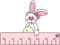 Cute bunny with pink ruler