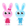 Cute bunny rabbit blue, pink