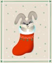 Cute bunny rabbit a Christmas sock. Greeting card. New Year illustration in a children`s style. cute New Year`s bunny 2023 symbo Royalty Free Stock Photo