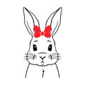 Cute bunny, rabbit with hair bow tie on the white background. Isolated illustration