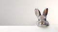 Cute bunny rabbit love on wide background with copy space