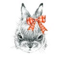 Cute Bunny. Rabbit pencil sketch illustration. T-shirt print with cute Bunny.