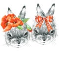 Cute Bunny. Rabbit pencil sketch illustration. T-shirt print with cute Bunny.