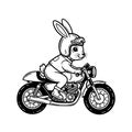 Cute Bunny Rabbit Riding a Motorcycle Royalty Free Stock Photo