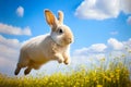 Cute Bunny rabbit running through a dreamy field at Easter