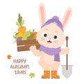 Cute bunny in rubber boots with vegetable harvest box, carrots and gardening tool with shovel. Poster Happy autumn time