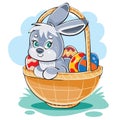 Cute bunny sitting in a wicker basket in which lie still Easter eggs painted in different colors,