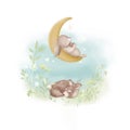 Cute bunny sleeping on the  moon . Deer sleeping on meadow with flowers. watercolor hand drawn illustration on white isolated back Royalty Free Stock Photo
