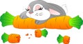 Cute bunny sleeps on a carrot