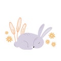 Cute bunny sleeps in herbs and flowers