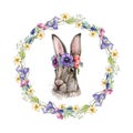 Cute bunny with spring flower wreath. Watercolor illustration. Nice bunny with spring flower wreath. White background