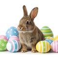 Cute bunny surrounded by colorful easter eggs in a festive setting Royalty Free Stock Photo