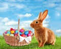 Cute bunny and wicker basket with colorful Easter eggs on green grass outdoors Royalty Free Stock Photo