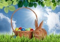 Cute bunny and wicker basket with colorful Easter eggs on green grass outdoors Royalty Free Stock Photo