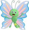 Cute butterfly cartoon Royalty Free Stock Photo