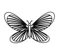 cute butterfly isolated icon Royalty Free Stock Photo