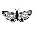 cute butterfly isolated icon Royalty Free Stock Photo