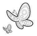Butterfly mandala adult anti stress Coloring Page