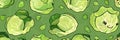 cute cabbage background Head of green cabbage