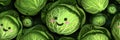 cute cabbage background Head of green cabbage