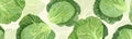 cute cabbage background Head of green cabbage