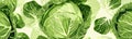 cute cabbage background Head of green cabbage