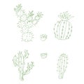 cute cacti in hand-drawn contours