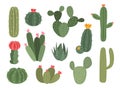 Cute cactus. Cartoon collection of decorative succulent. Home green plant with blossom. Desert exotic flora with flowers