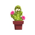 Cute cactus character with flowers, succulent plant with funny face in flowerpot vector Illustration on a white Royalty Free Stock Photo