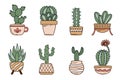 Cute cactus in flower pots set Royalty Free Stock Photo