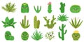 Cute cactus. Happy cacti with kawaii faces. Isolated plant patches, decorative cartoon stickers for kids. Funny desert