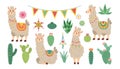 Cute cactus and llamas. Summer alpaca animal and baby succulent, peru or chile lama kid, patterned blankets. Childish