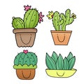 Cute cactus in a pot Royalty Free Stock Photo