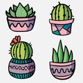 cactus and succulent plant in flower pot on