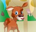 Cute calf Royalty Free Stock Photo